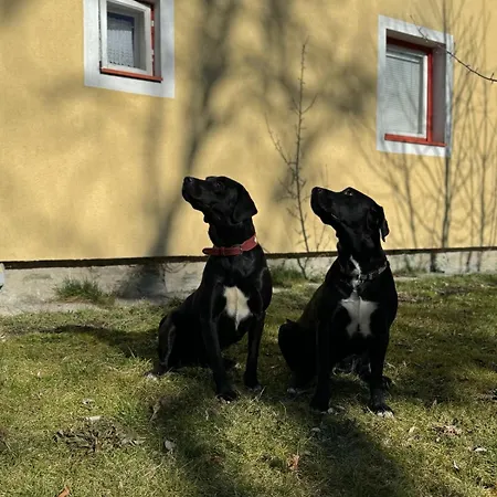 Kleines Haeuschen Im Tauernstaedtchen * Gmund in Karnten