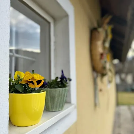 Kleines Haeuschen Im Tauernstaedtchen Holiday home